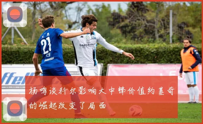 杨鸣谈科尔影响大中锋价值约基奇的崛起改变了局面