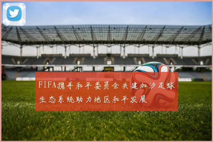 FIFA携手和平委员会共建加沙足球生态系统助力地区和平发展