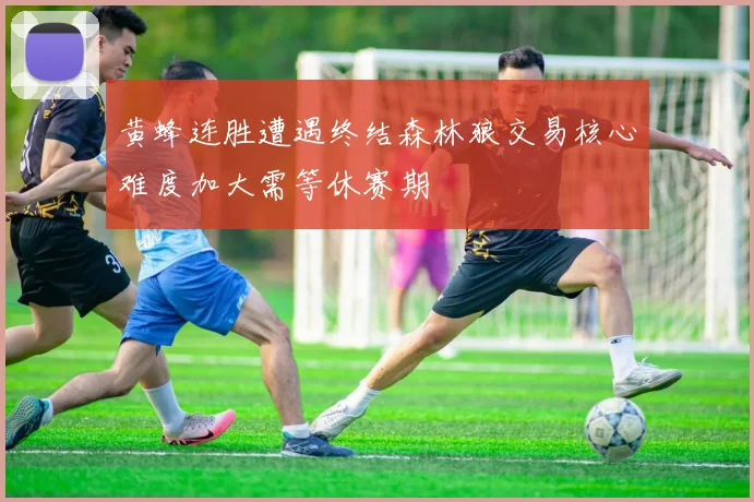 黄蜂连胜遭遇终结森林狼交易核心难度加大需等休赛期