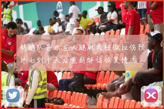 鹈鹕队普尔左大腿肌肉轻微拉伤预计七到十天后重新评估恢复情况