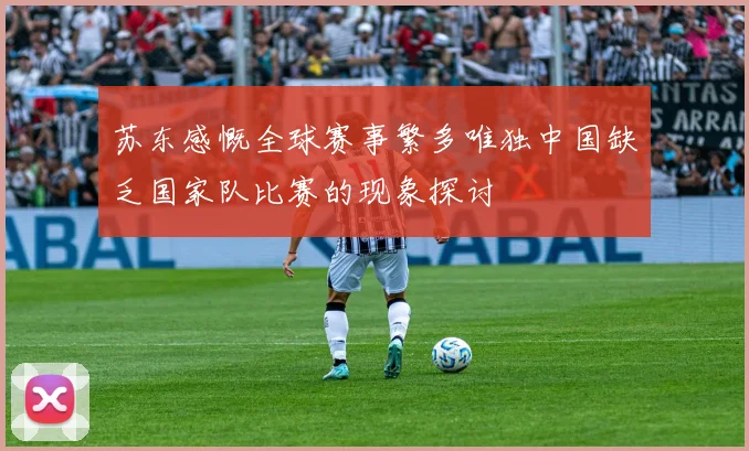 苏东感慨全球赛事繁多唯独中国缺乏国家队比赛的现象探讨