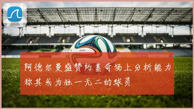 阿德尔曼盛赞约基奇场上分析能力称其或为独一无二的球员