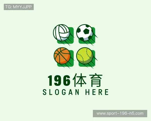 关于196体育官网